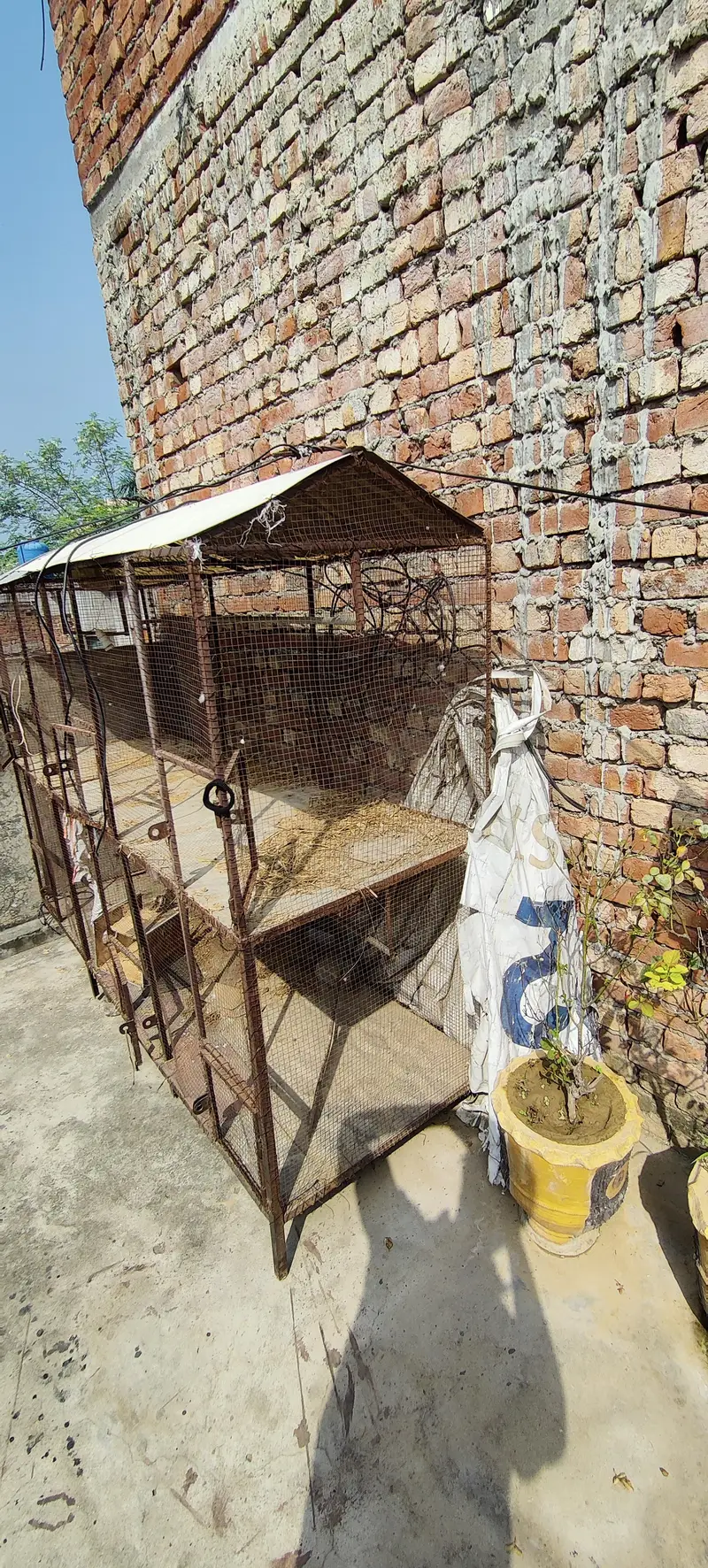 cage for sale — photo 2