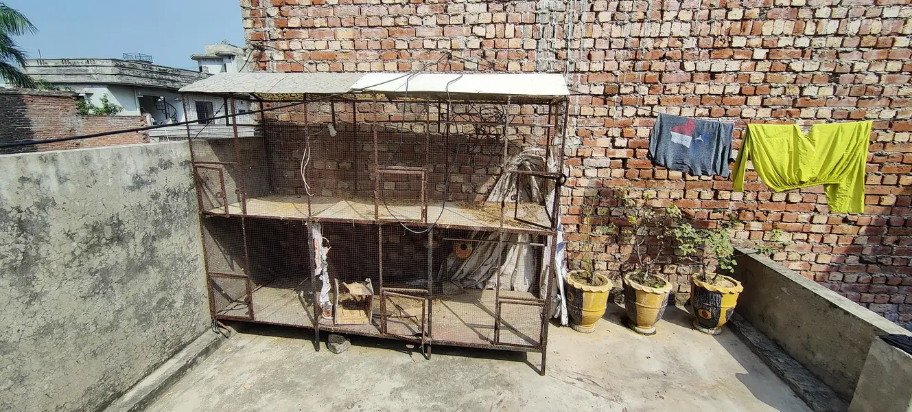 cage for sale — photo 3