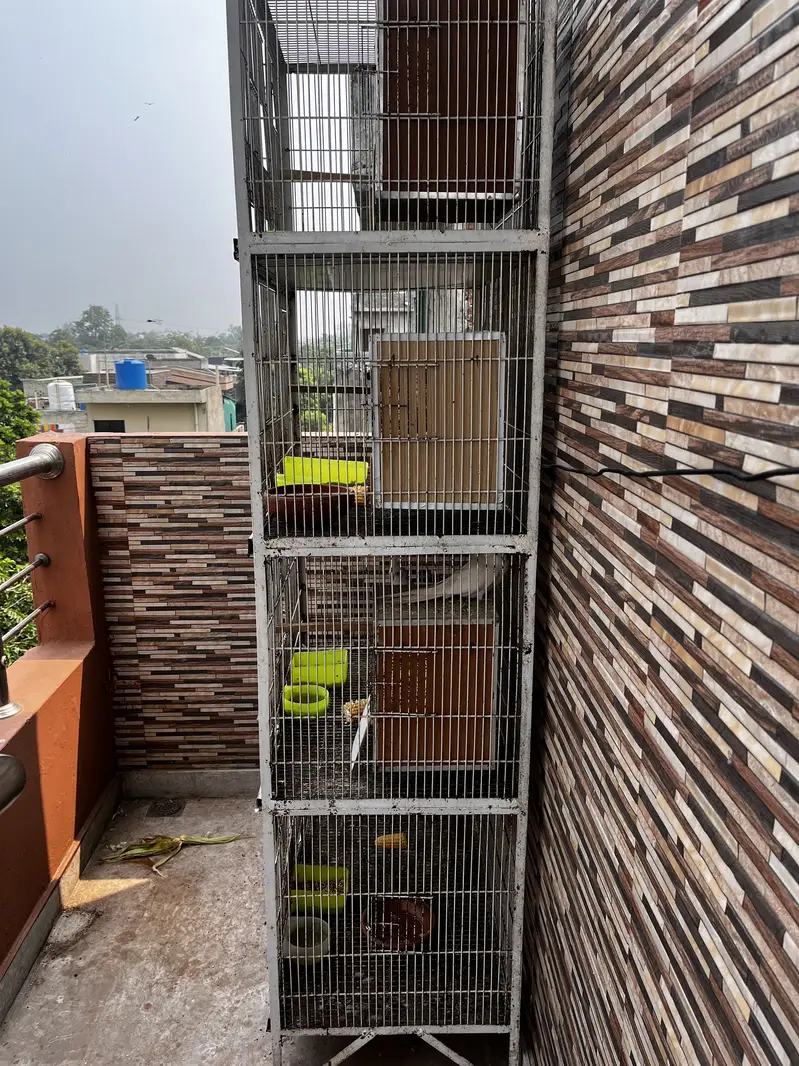 1.5 by  2.5 ( 4 portion double angle cage ) — photo 2