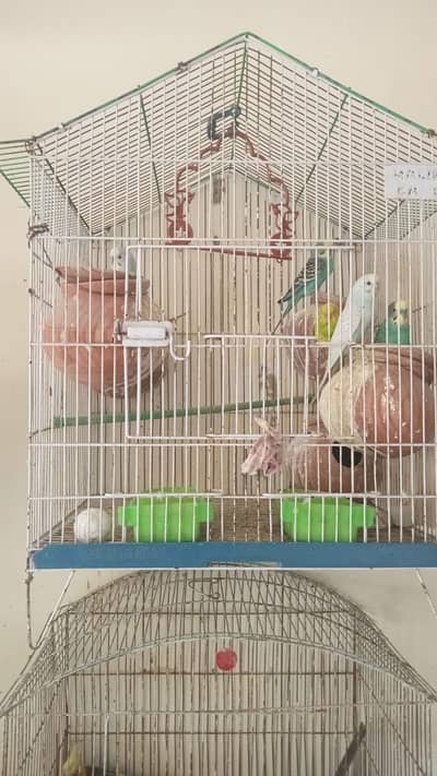 urgent sale