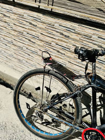 Wheeling bicycle