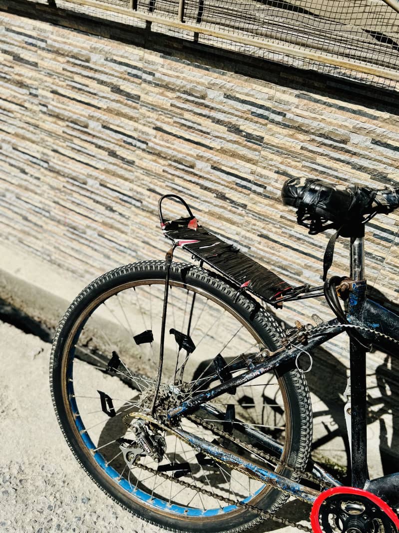 Wheeling bicycle 0