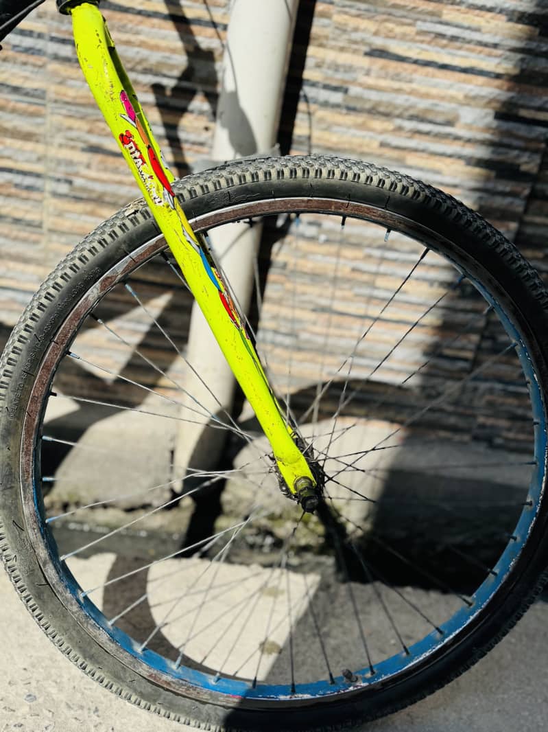 Wheeling bicycle 1