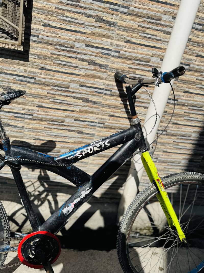 Wheeling bicycle 2