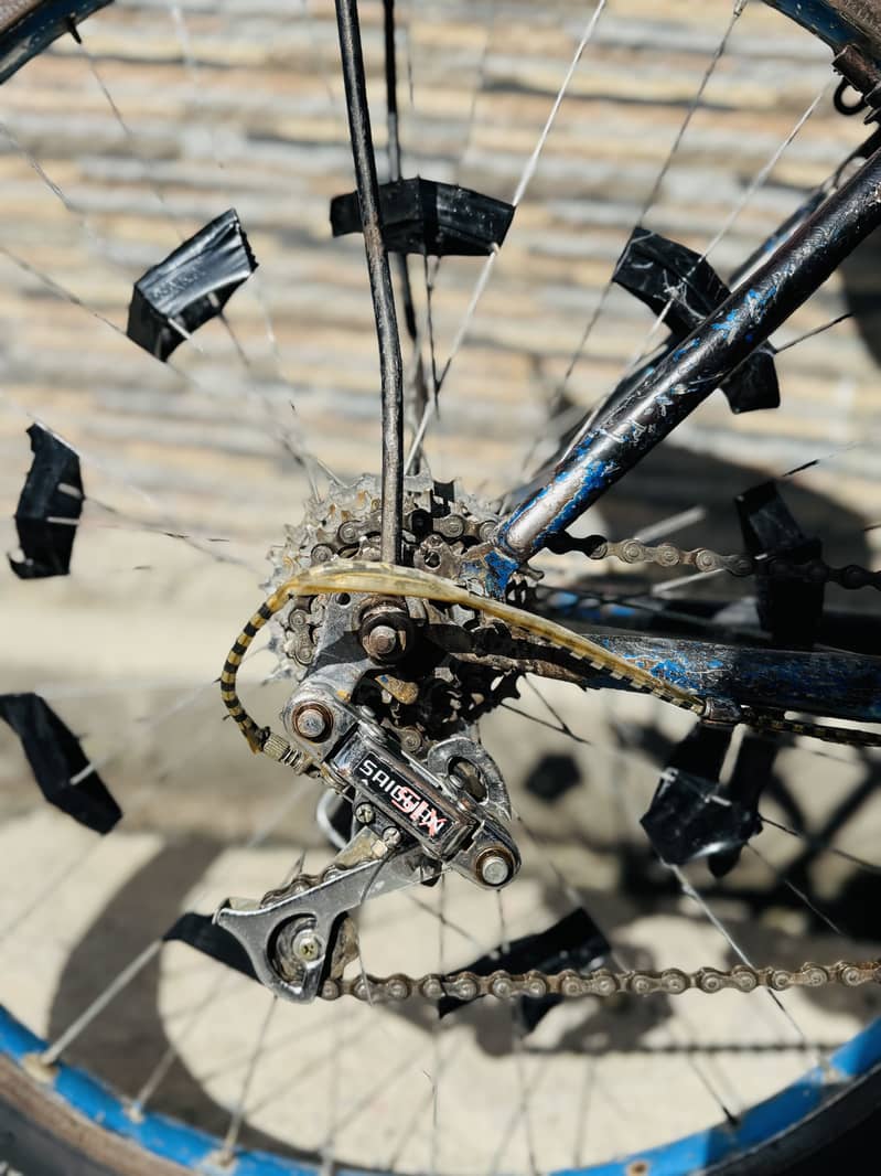 Wheeling bicycle 3