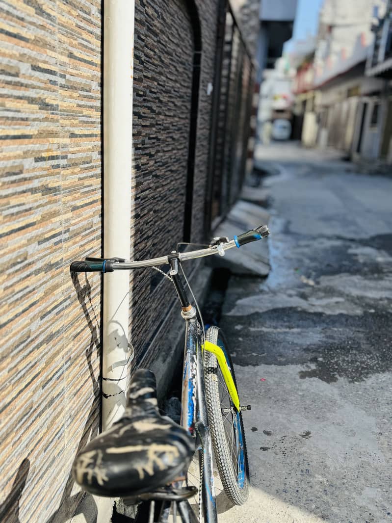 Wheeling bicycle 4