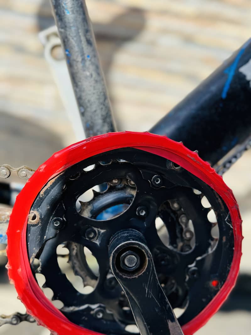 Wheeling bicycle 5