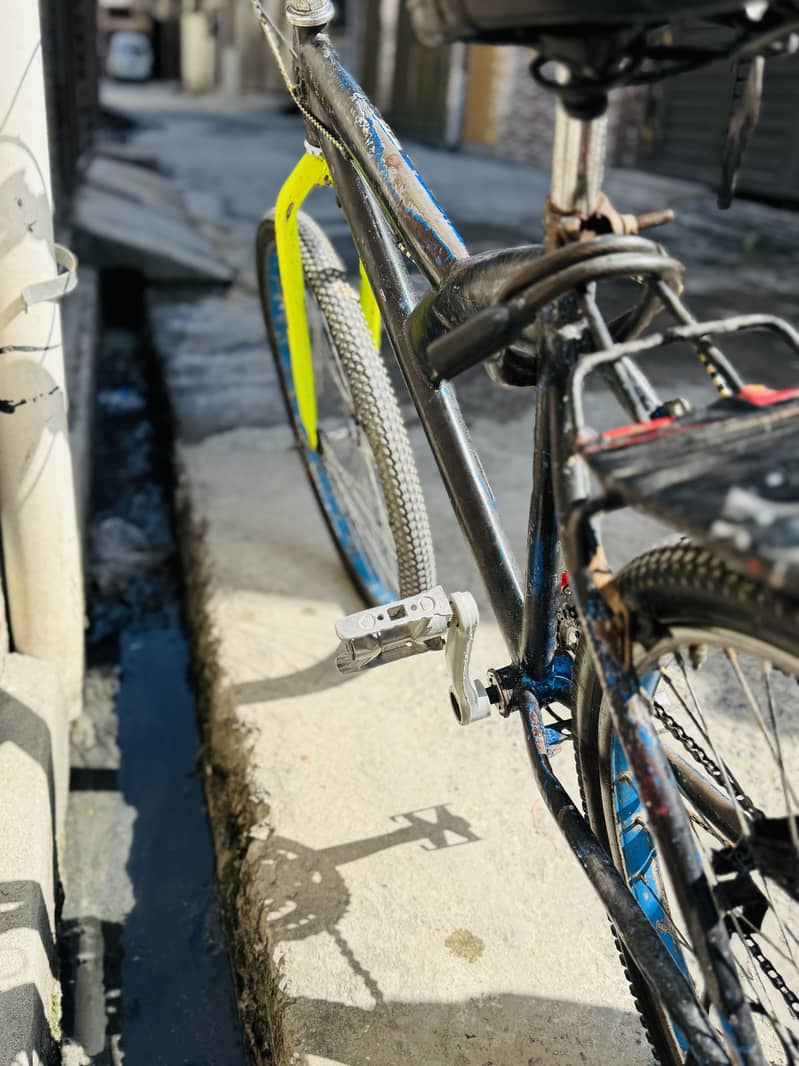 Wheeling bicycle 6