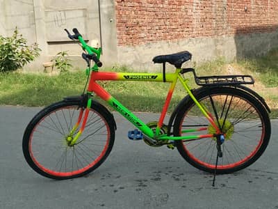 Phoenix bicycle