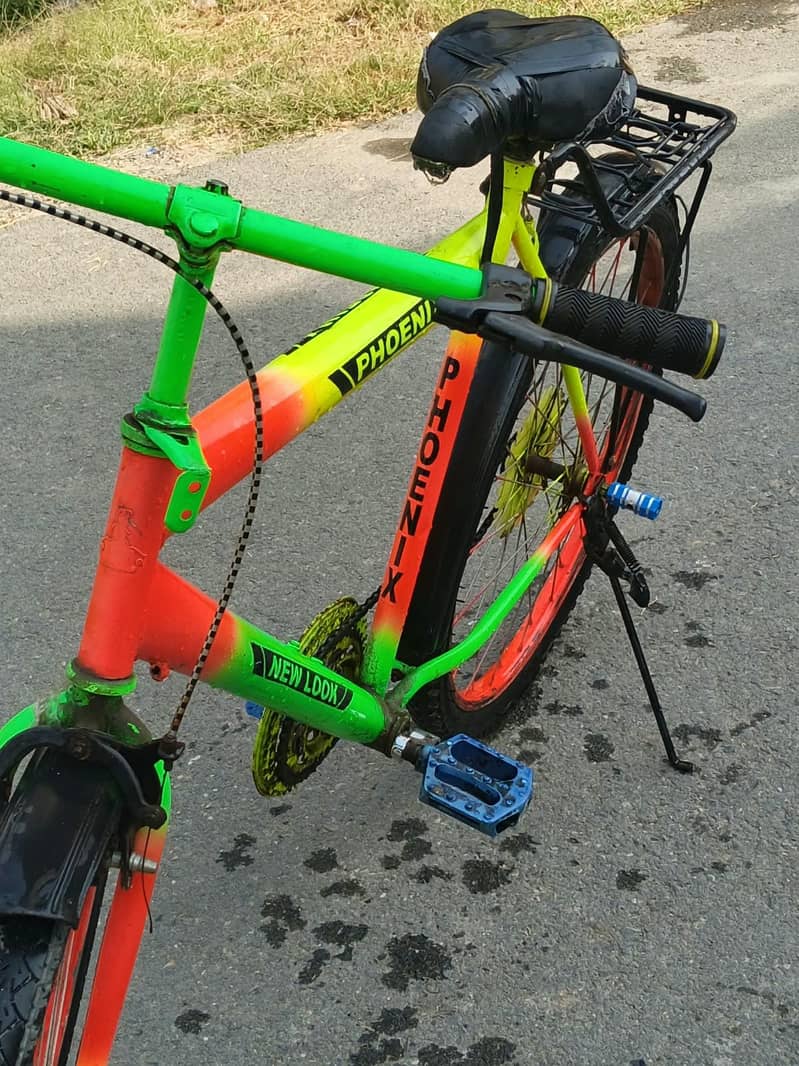 Phoenix bicycle 1