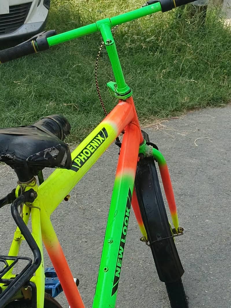 Phoenix bicycle 2