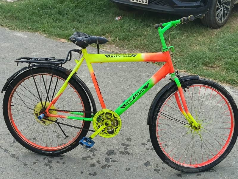 Phoenix bicycle 3