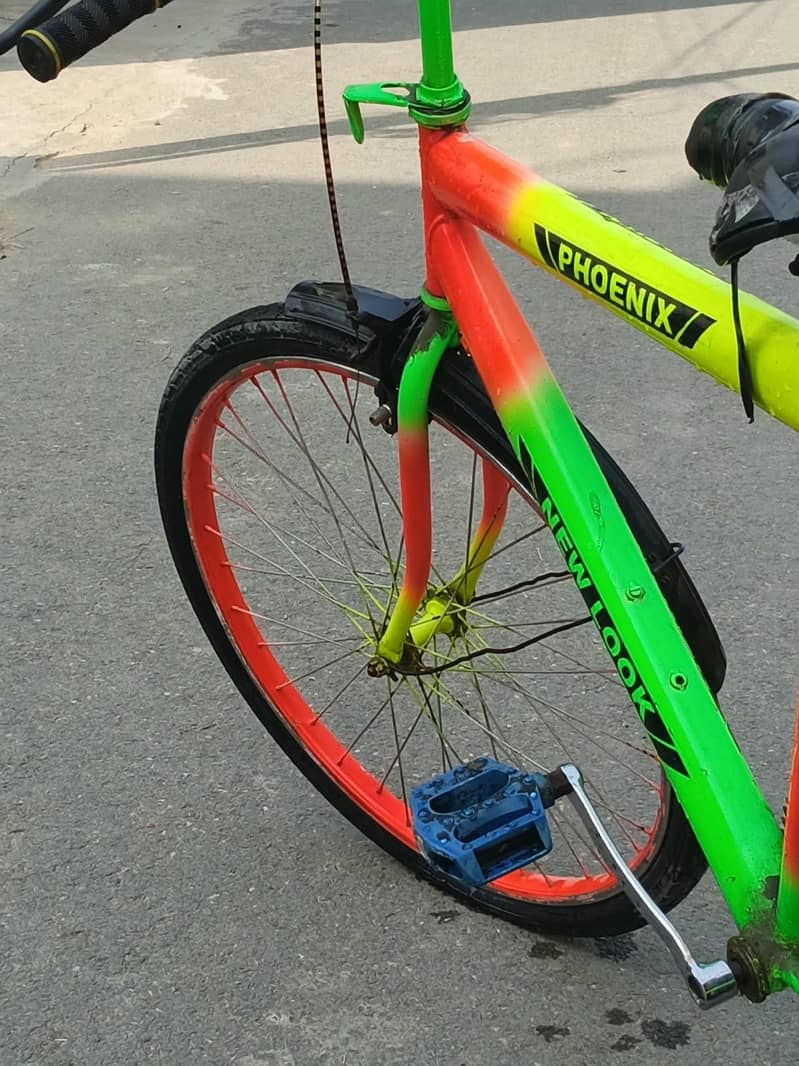 Phoenix bicycle 4