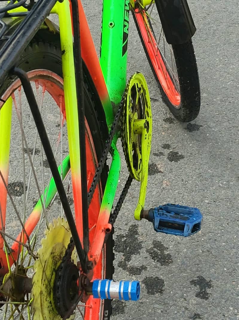 Phoenix bicycle 5