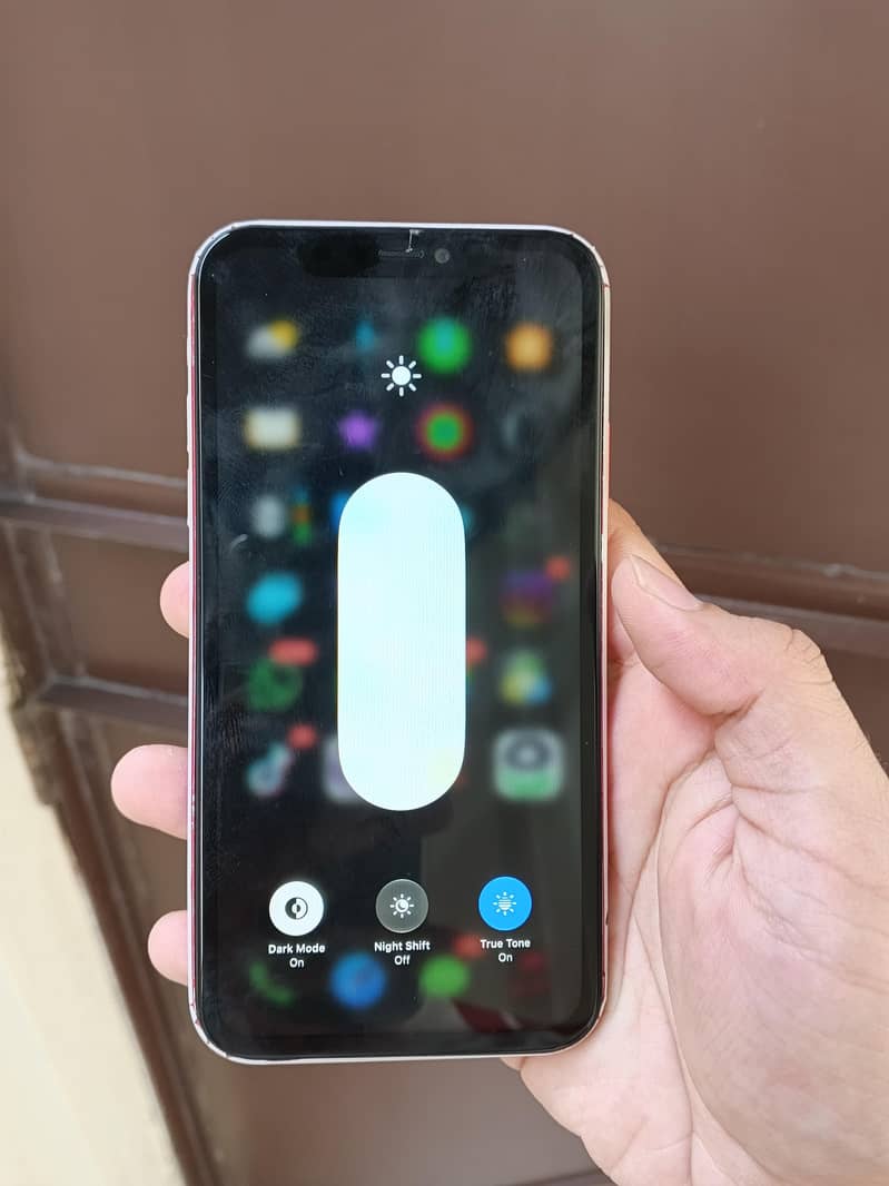 Apple iPhone 11 1