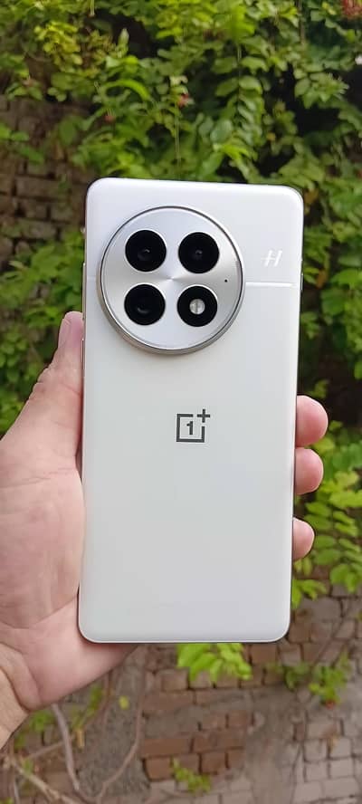 Oneplus 13 Global Non Pta 16 512