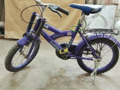 Bicycle for sale