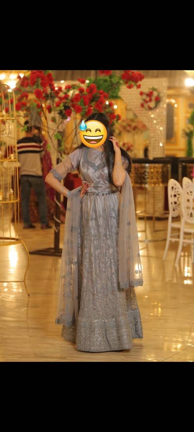 Elegant Silver Gray Fancy Sharara