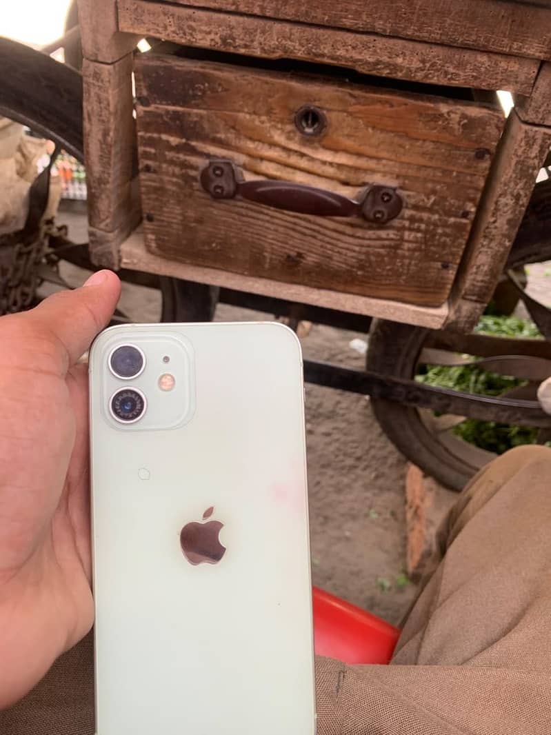 Apple iPhone 12 1