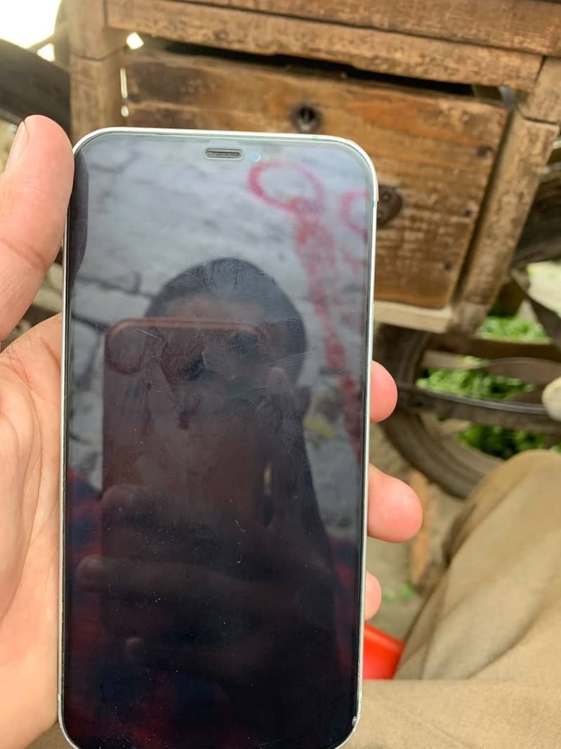 Apple iPhone 12 3