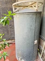 Wheat Drum brola for sale
