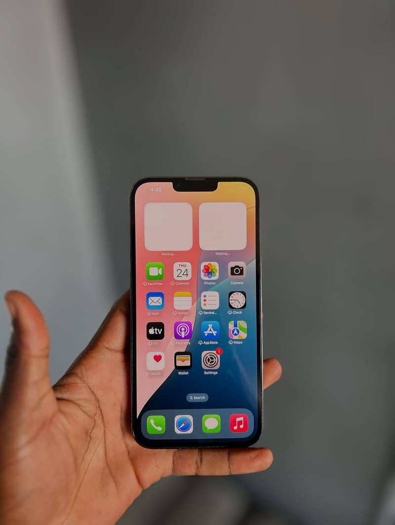Apple iPhone 13 Pro Max 2