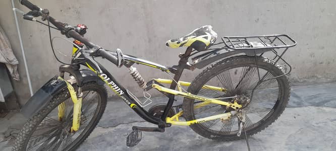 Dolthin river dicycle