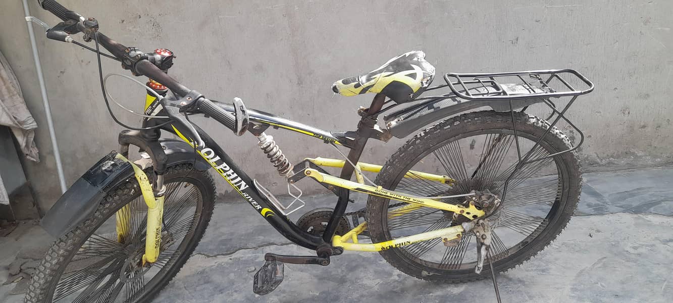 Dolthin river dicycle 0