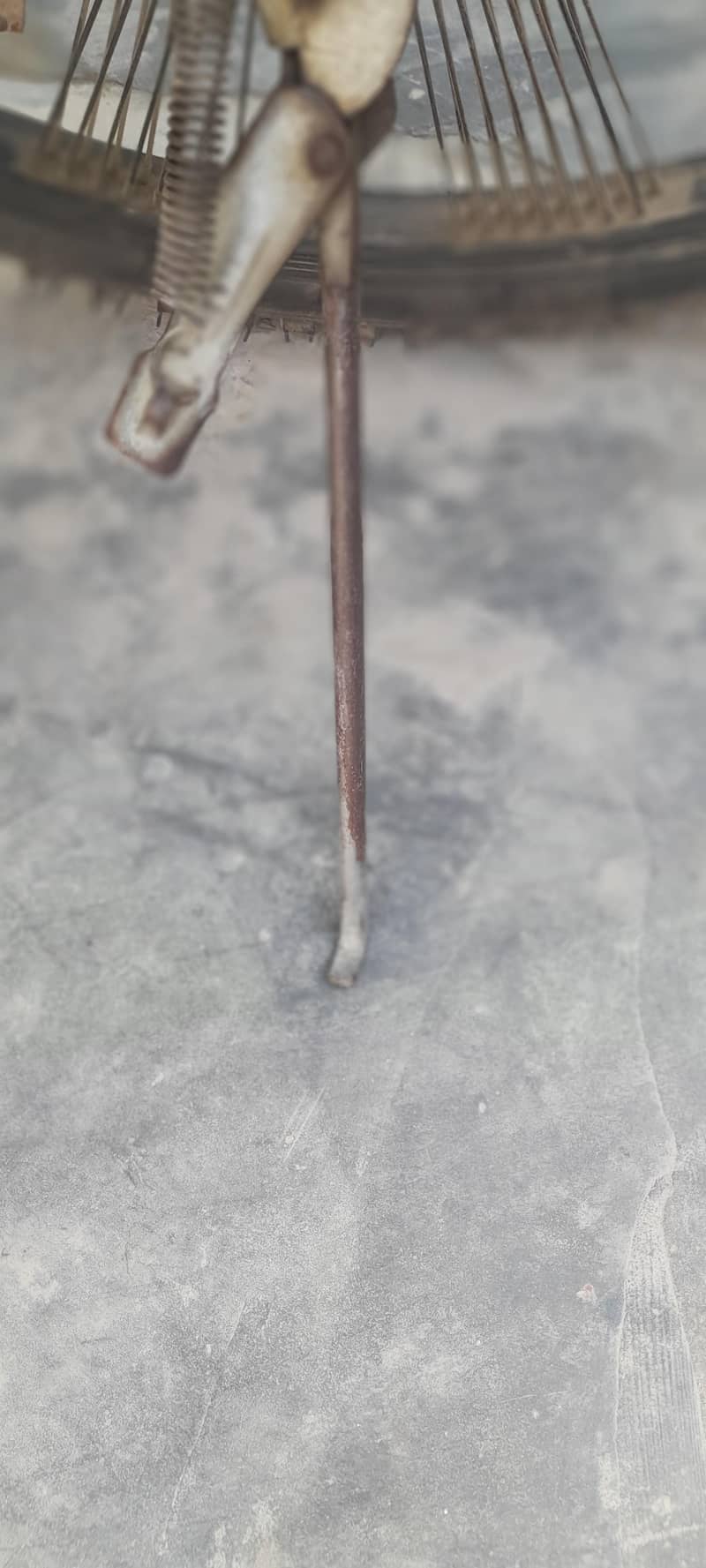Dolthin river dicycle 1