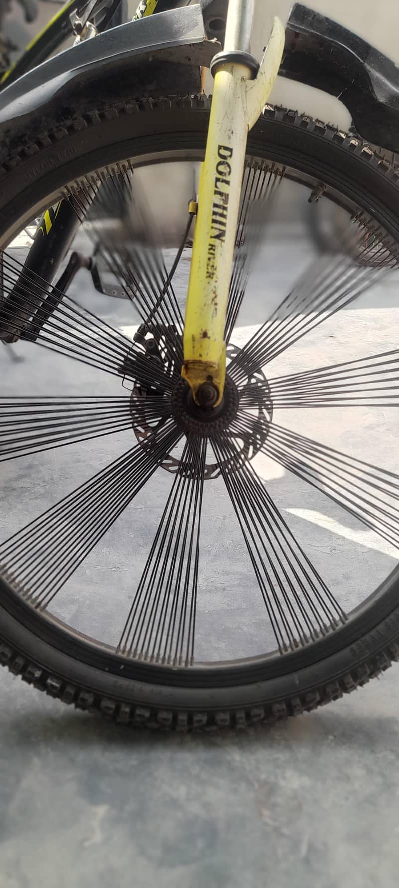 Dolthin river dicycle 4