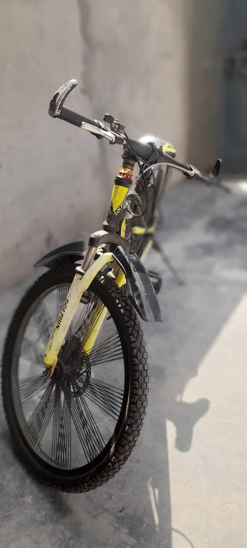 Dolthin river dicycle 5