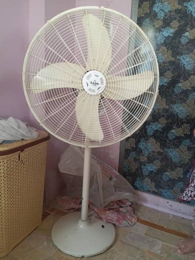 Rado fan