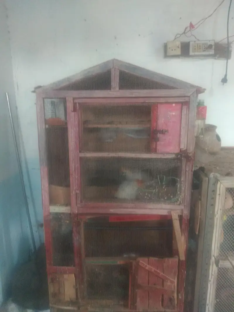 cage for sale — photo 2