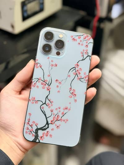 iphone 13 pro max waterpack condition 10/10