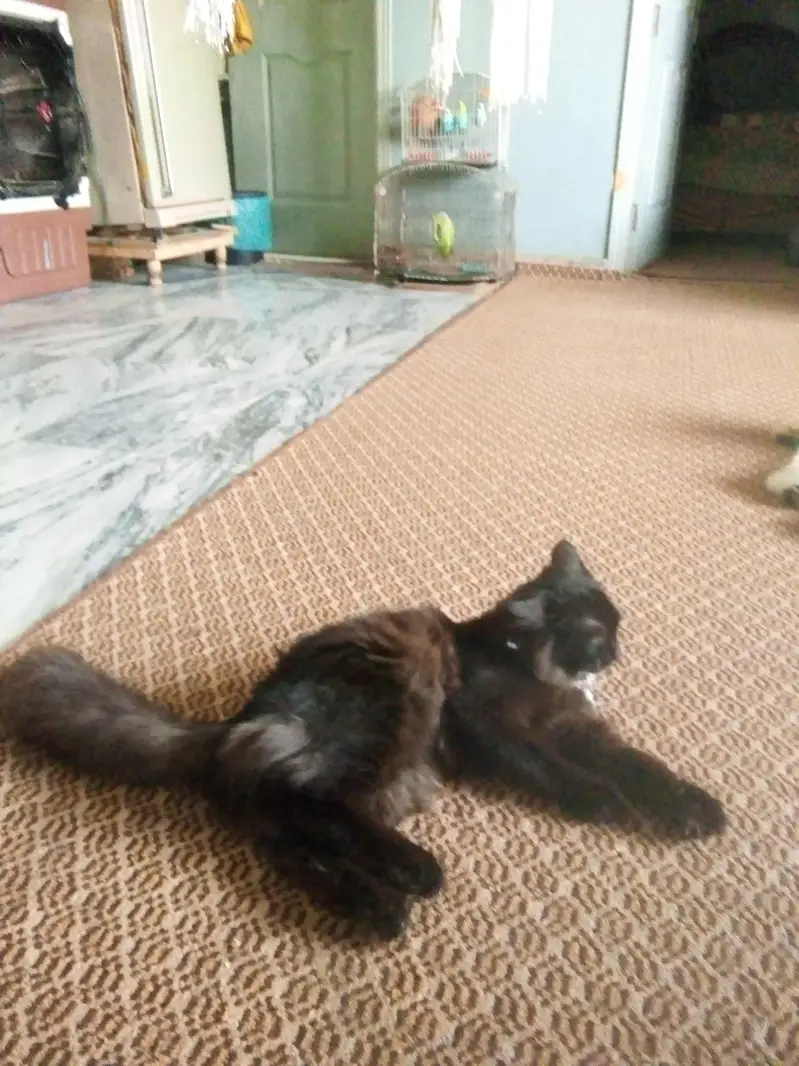 ONE MALE ONE FEMALE — photo 2