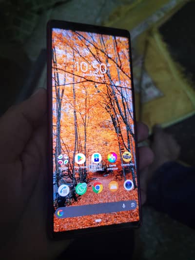 Sony Xperia 5