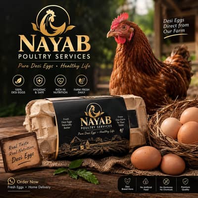 Pure Desi Anda | Golden Misri Breed | Home Delivery