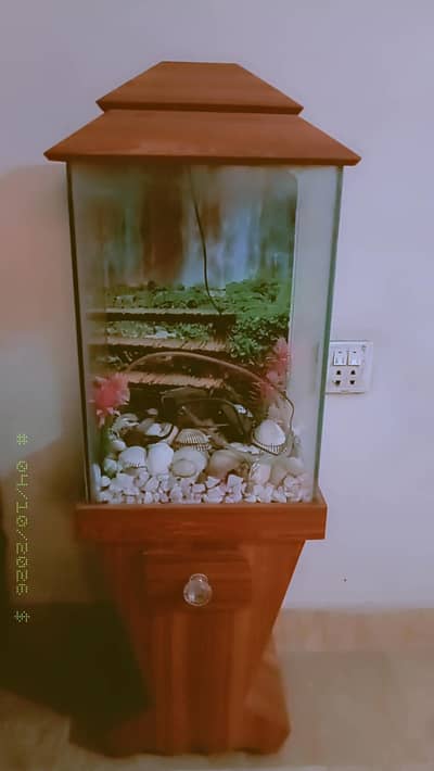 aquarium best condition 10/10