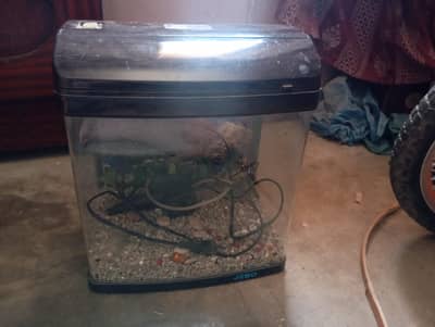 aquarium with oxygen moter new