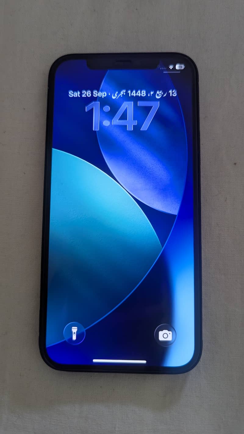 Apple iPhone 12 1