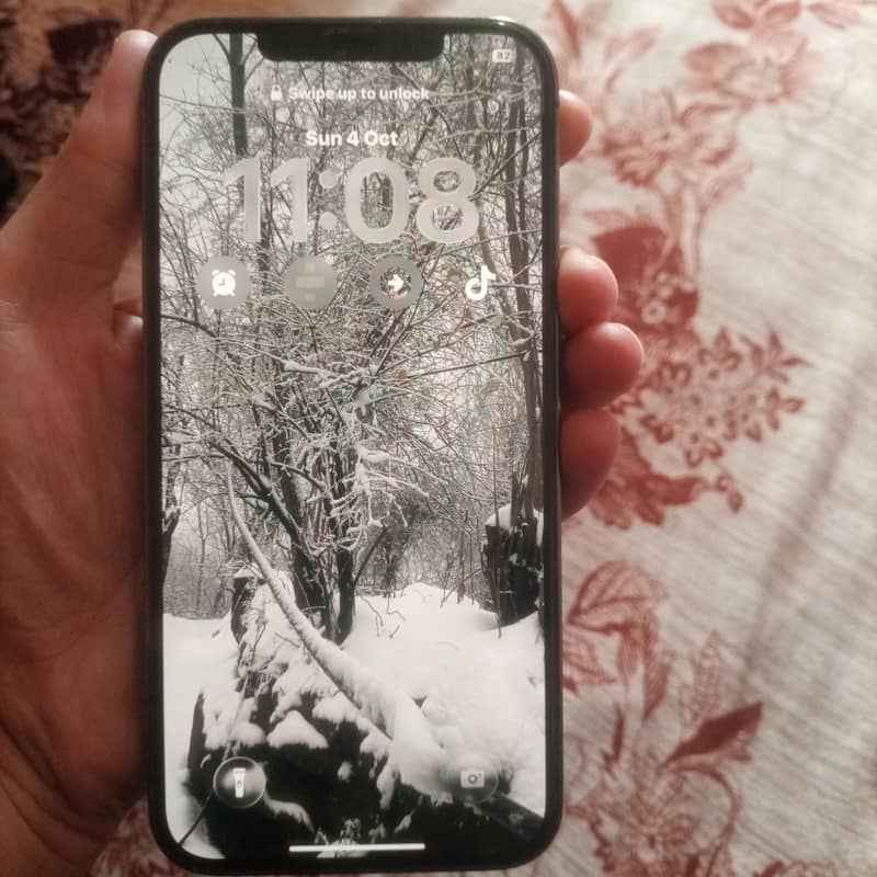 Apple iPhone 12 Pro Max 1