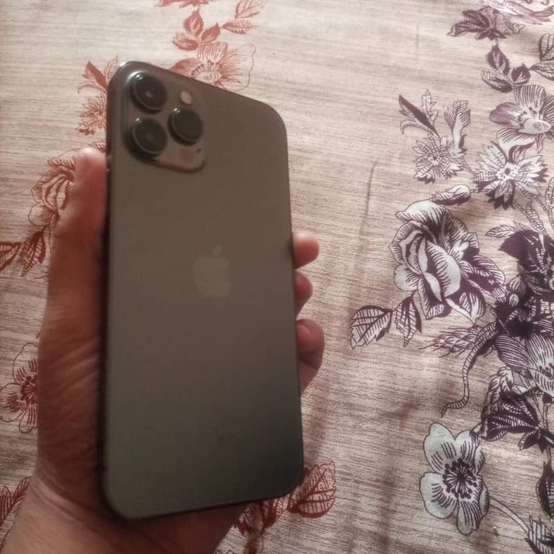 Apple iPhone 12 Pro Max 2