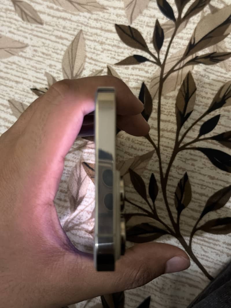 Apple iPhone 14 Pro Max 2