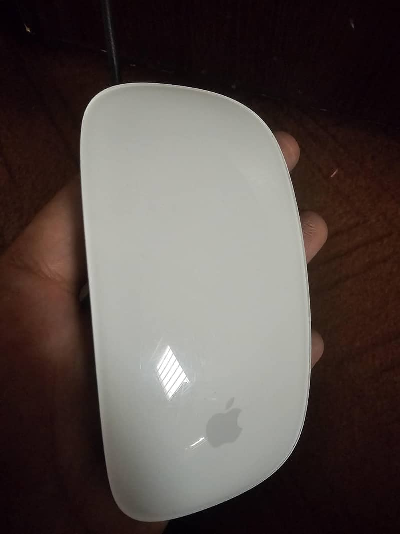 apple Magic Mouse 2 0