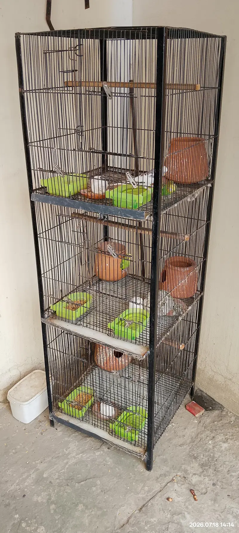 Australian Parrots with Cage for sale — photo 2