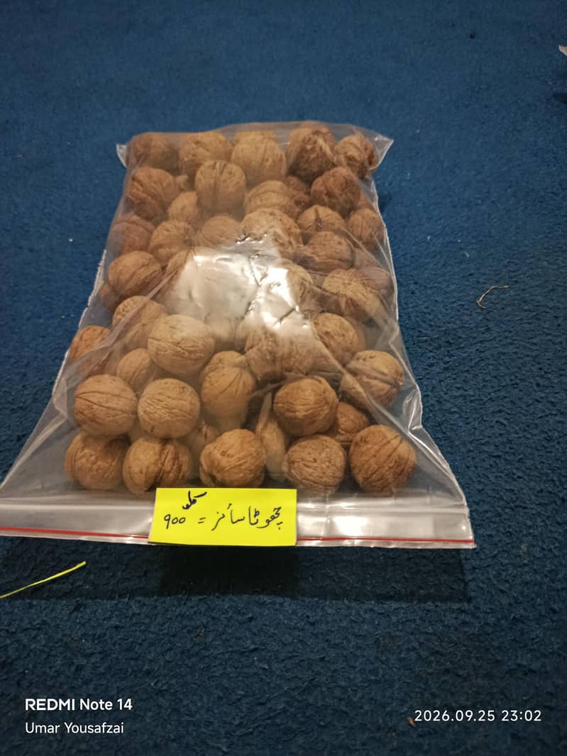 walnut 1