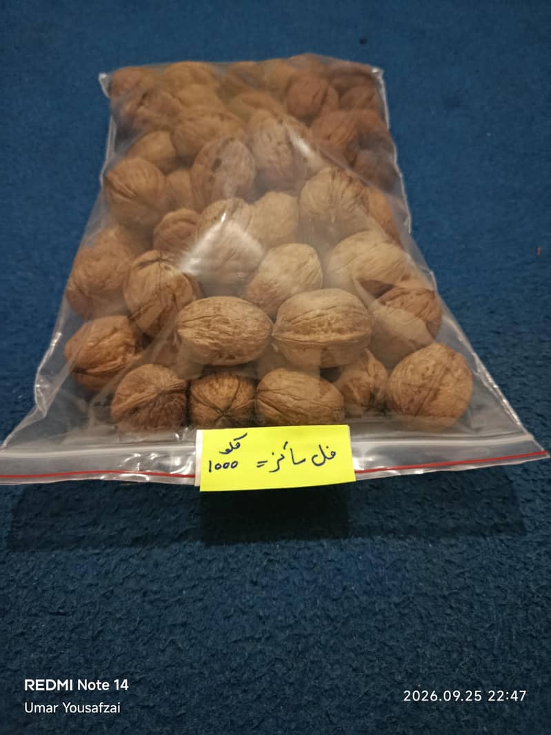 walnut 2
