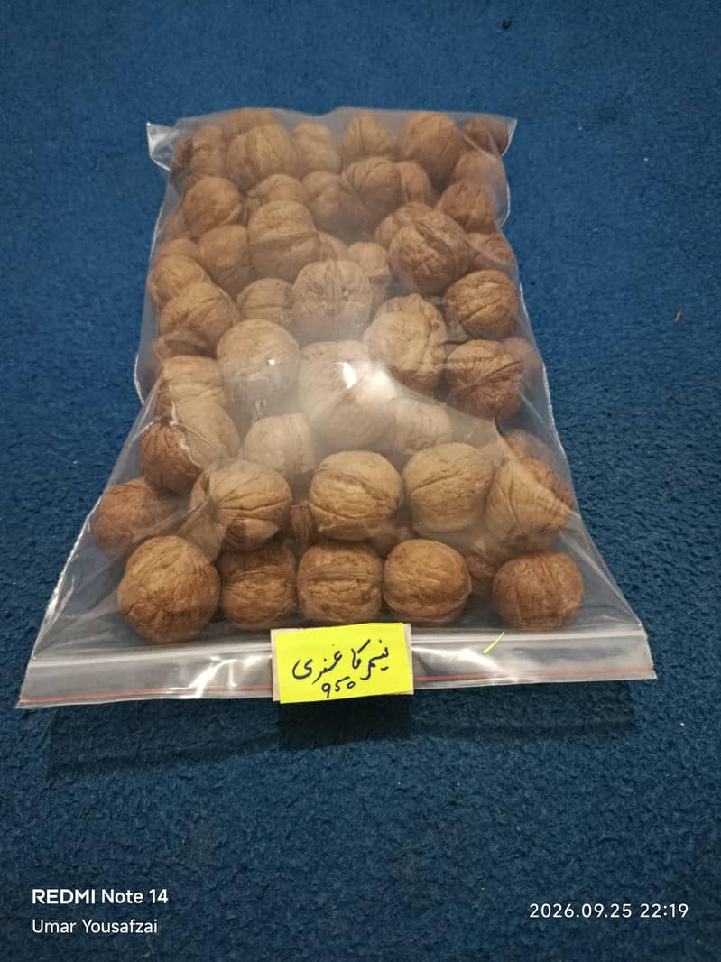 walnut 4