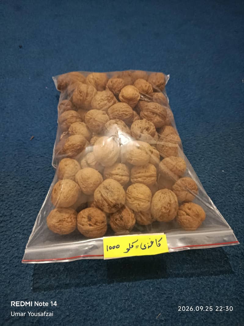 walnut 5