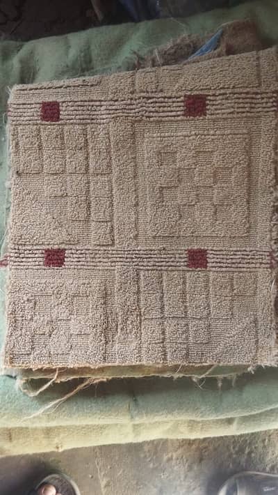 Good Condition Carpet